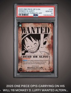 One Piece Wanted | eBay