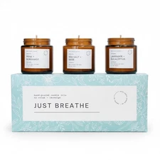 3 pcs Aromatherapy Scented Candles - Just Breathe Candles Gift Set for Women ...