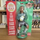 David James Liverpool Vivid Imaginations Large Football Figure