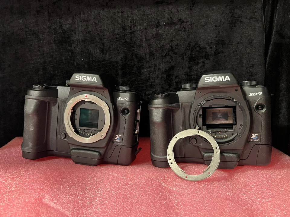 Lote de 2 cámaras digitales SIGMA SD9 negras Foto 2 de 4