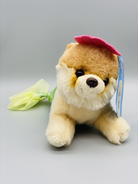 itty bitty boo teddy