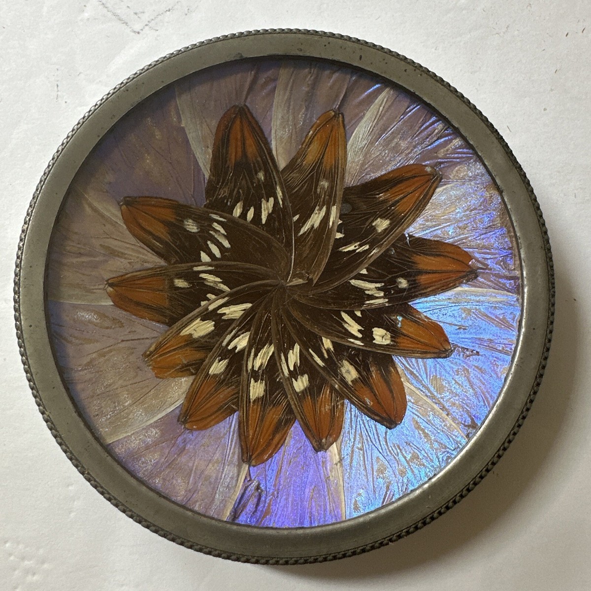 Vintage Blue Morpho Butterfly Wing Trinket Dish 3.5