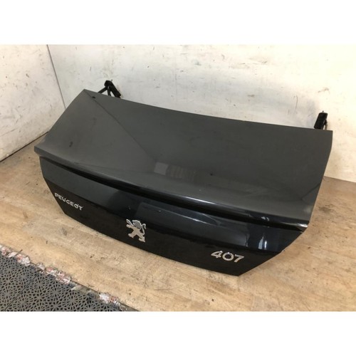 Porte Avant Gauche PEUGEOT 407 Coupé 2.0 HDI - Pièce D'occasion 9002 W5