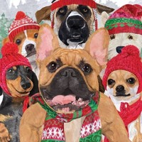 20 Servietten Dog Usie Hundewelt Winterkleidung Schal MüTze Lustig Deko 33X33Cm
