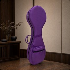 Pipa Instrumentenkoffer, Schutzkoffer für Pipa mit Hygrometer, tragbar,