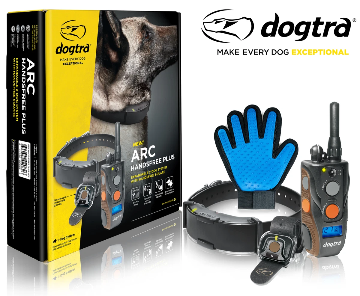 Dogtra on clearance ebay