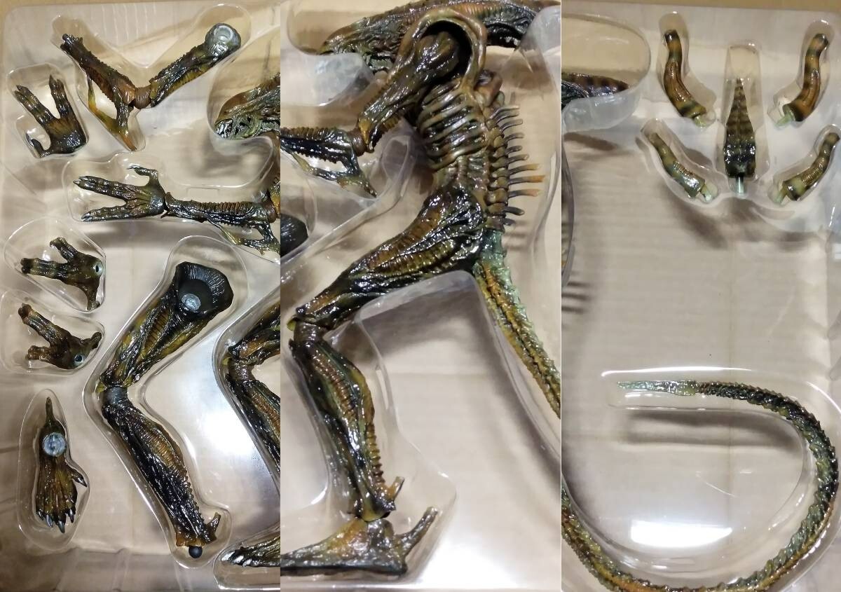 Hot Toys Alien Warrior 1/6 Brown Repaint Version Limited to Hot Toys Alien Warrior 1/6 Brown Repaint Version Limited to