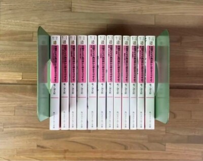 Problem Children Are Coming from Another World, Aren't They?  Japanese Novel Set