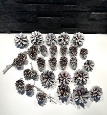Pack Of 30 Various Pine Cones White, White+Glitter For Craft #4