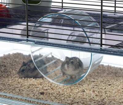 Ferplast Favola Large Hamster Cage w/ Water Bottle, Food Dish & Hamster Hide-Out