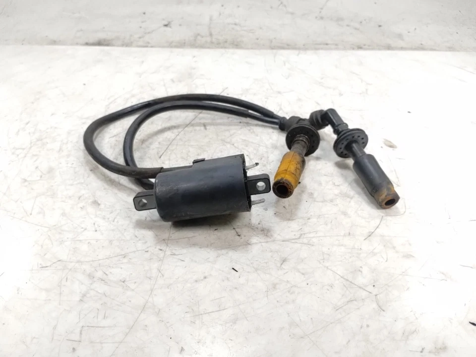 Suzuki GSXR1100 GSXR-1100W 1997 paquetes de bobinas de encendido y juego de enchufes Foto 2 de 4