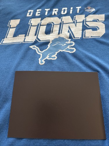 Detroit Lions 2025 Schedule Magnet | Fridge Size | NFL Football Collector Gift - Picture 2 of 2