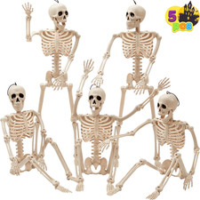 5 PCS Posable Halloween Skeleton Decor 16 Inches, Full Body Posable Joints Hangi