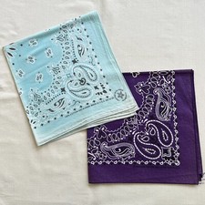 Set of 2 Vintage Bandana Blue Dark Purple Cotton Paisley Made in USA  RN 15187