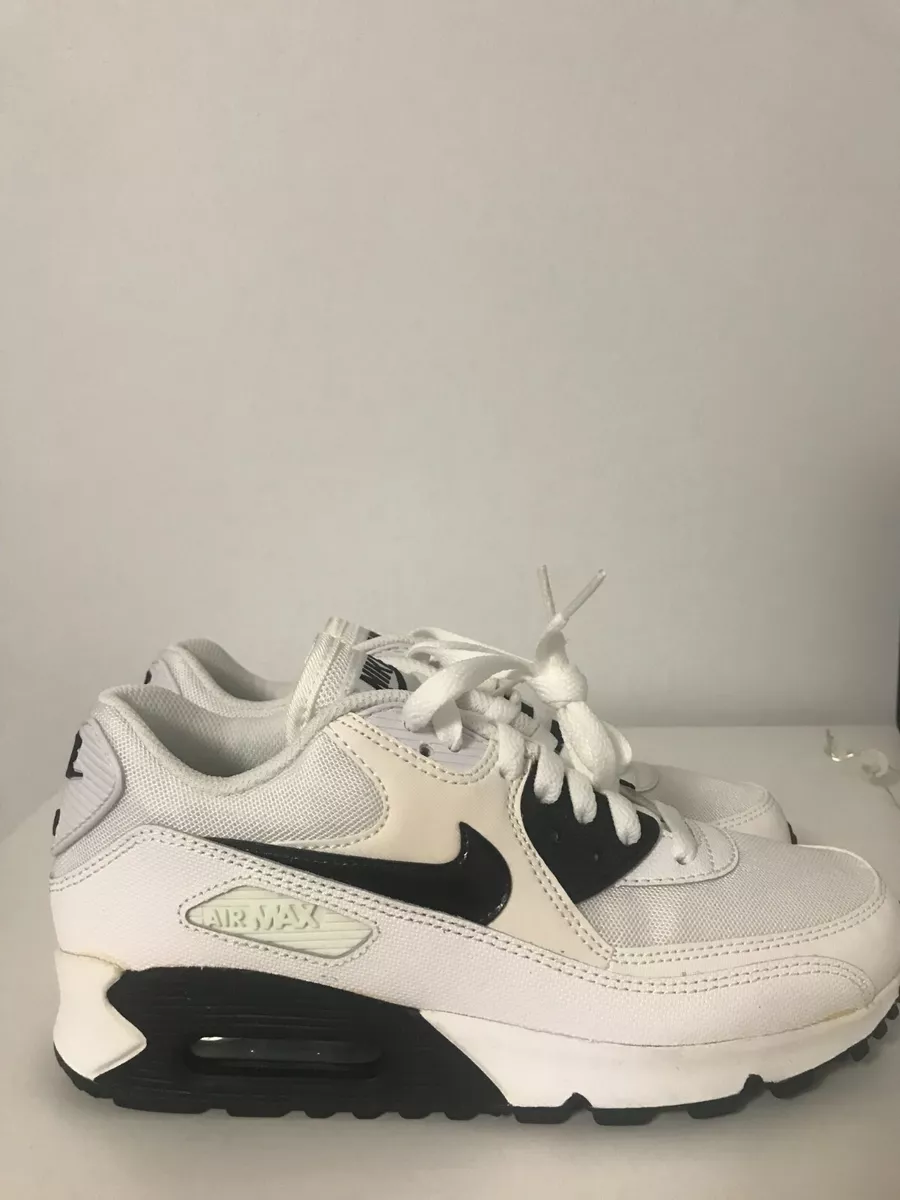 Old school shop air maxes