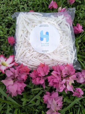 Dentalium Shells 1.5 Inches below small  Shells 10kg -22.04 Lbs.