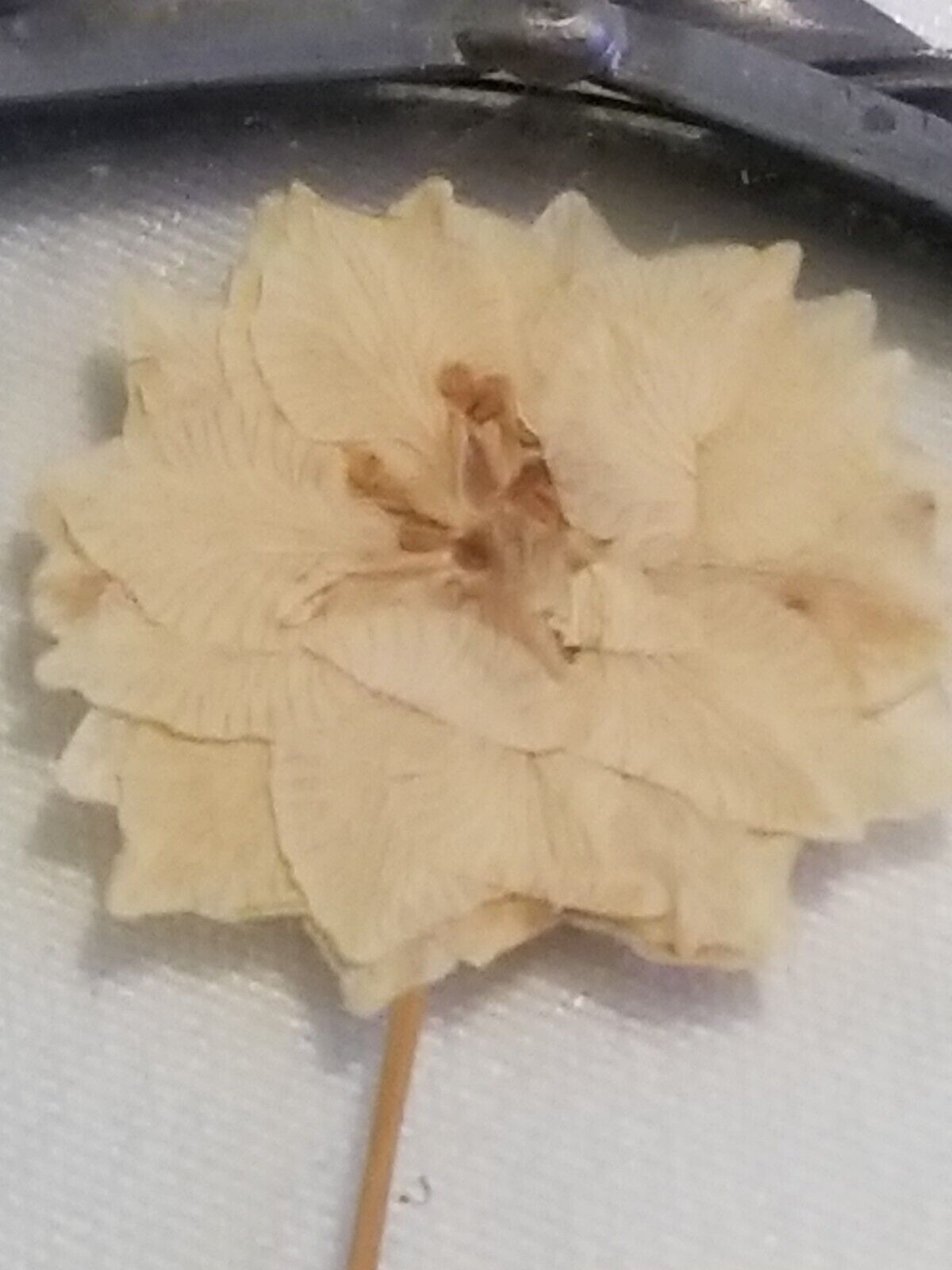 Picture 5 of 9