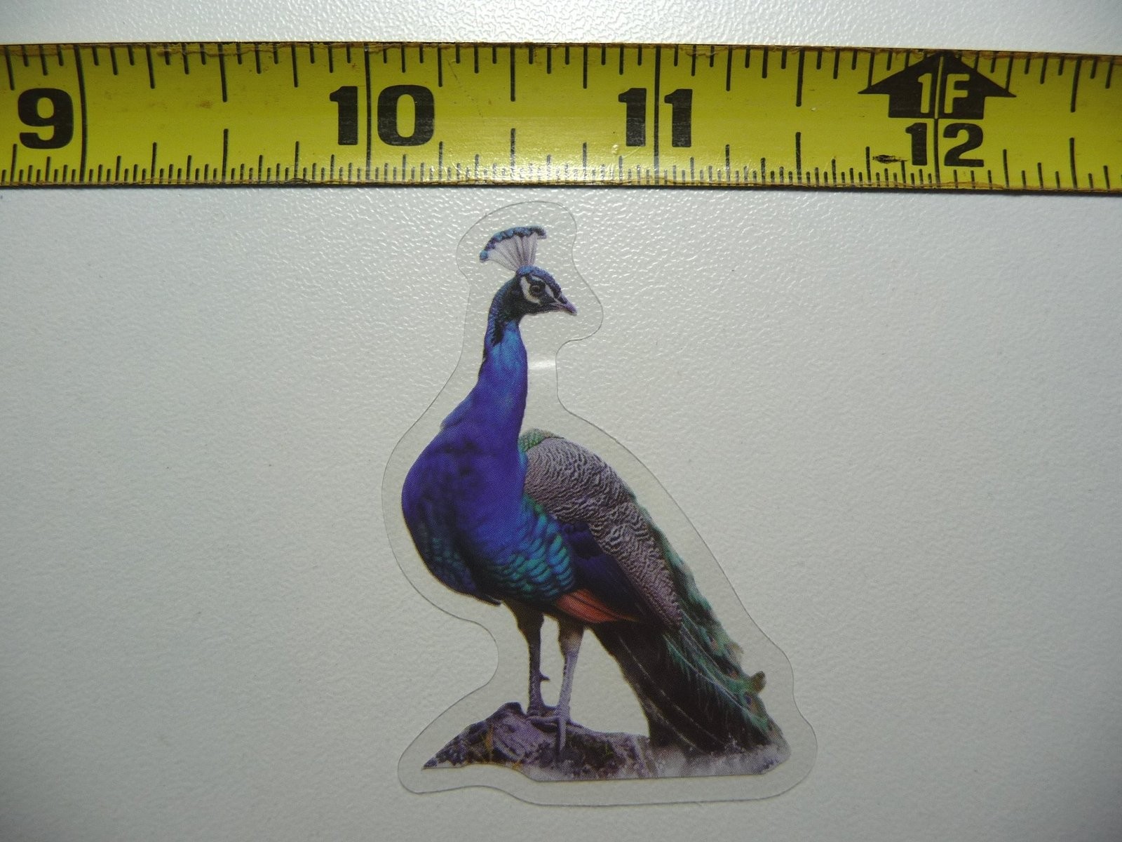 Colorful Peacock Pose Sticker Decal for Wildlife and Zoo Lovers