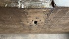 Bild 18 von 20