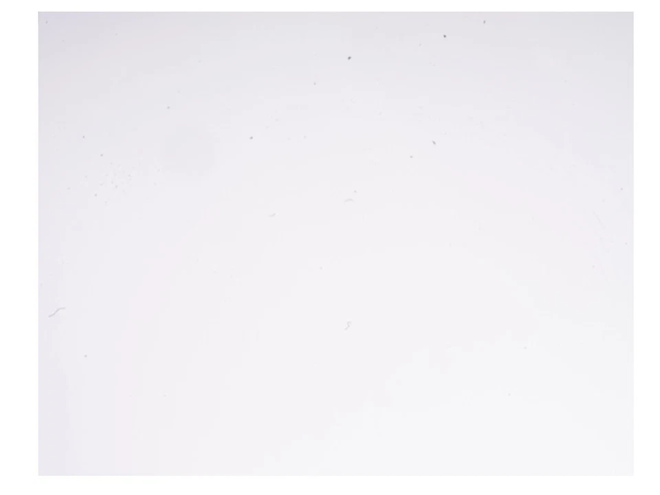 Andre Kertesz, Hungarian Artist, 1970s A Sheet Fed Gravure Photography Art Print - Image 3 of 4