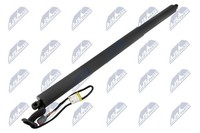 NTY Gasfeder, Koffer-/Laderaum AE-FR-073 FüR Ford