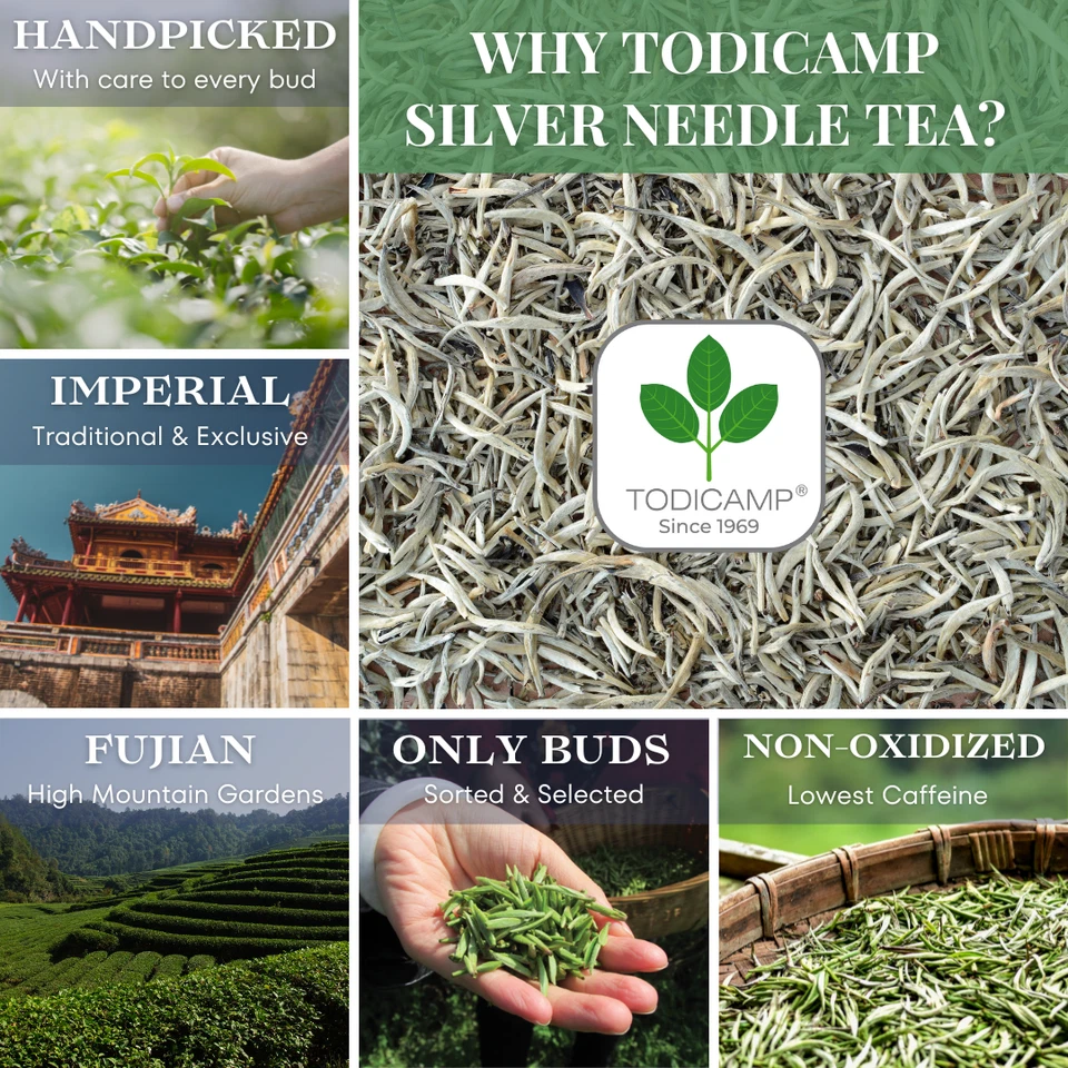 Чай с серебряной иглой TODICAMP White Tea — 1 фунт белого чая с серебряной иглой - Изображение 4 из 4