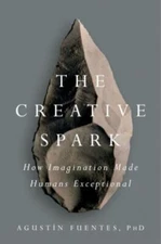The Creative Spark : How Imagination Made Humans Exceptional Agus