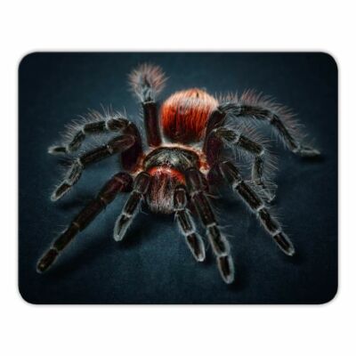 Mousepad Leopardenfell - 24x19cm - Fell - Leomuster - Mauspad - Leopard