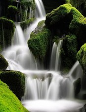 Large Size Internet Password Organizer 8.5 x 11: Disguised Password Logbook, Lar