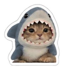 Kitty Cat In Shark Costume Decal Waterproof Sticker Funny Internet Trend