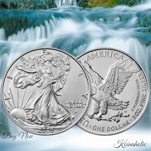 2025 American Silver Eagle $1 Coin 1 oz .999 Fine Silver BU From Tube, Fast 🚢