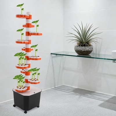 lucky bamboo plant pots Shop Lucky Bamboo 2 Layer Feng Shui Plant