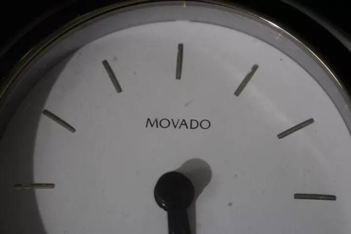 Movado japan online movement