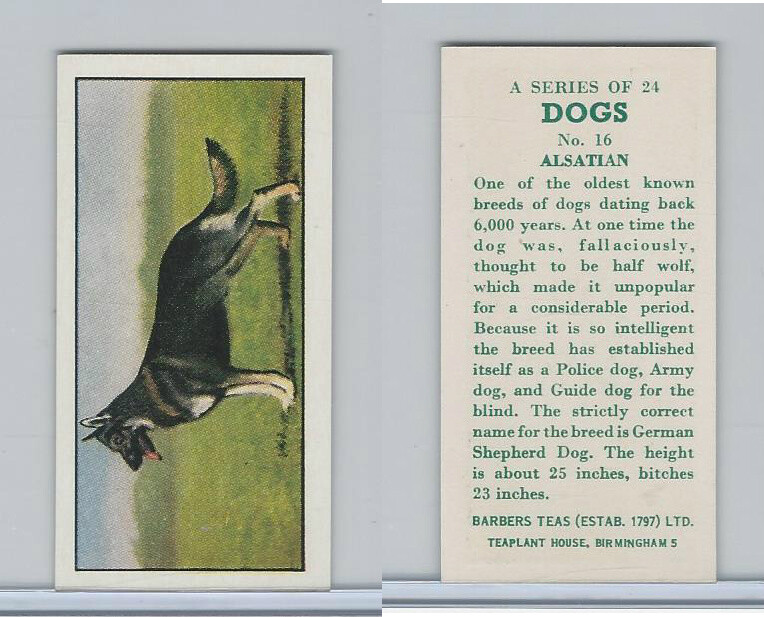B0-0 Barbers Tea, Dogs, 1961, #16 Alsatian, German Shepard | eBay