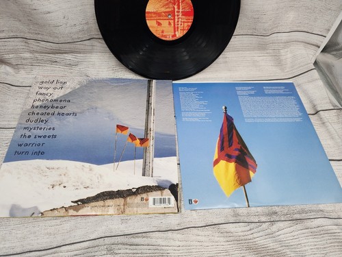 YEAH YEAH YEAHS Show Your Bones LP 2006 US Interscope RARE Vg/Vg+ - Picture 3 of 8
