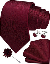 3.15"  8cm  Mens Tie and Lapel Pin Paisley Necktie Hankerchief Cufflinks Set for