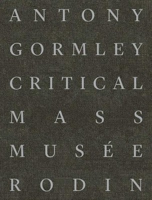 Sophie Biass-Fabiani Antony Gormley (Gebundene Ausgabe) (US IMPORT)