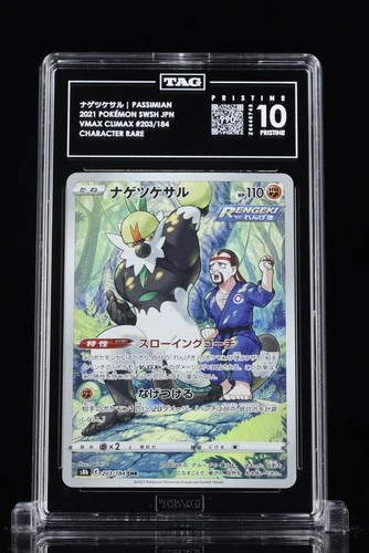 Passimian 203/184 S8b: Vmax Climax Holo (Japanese) Pokemon Tag Pristine 10 #07