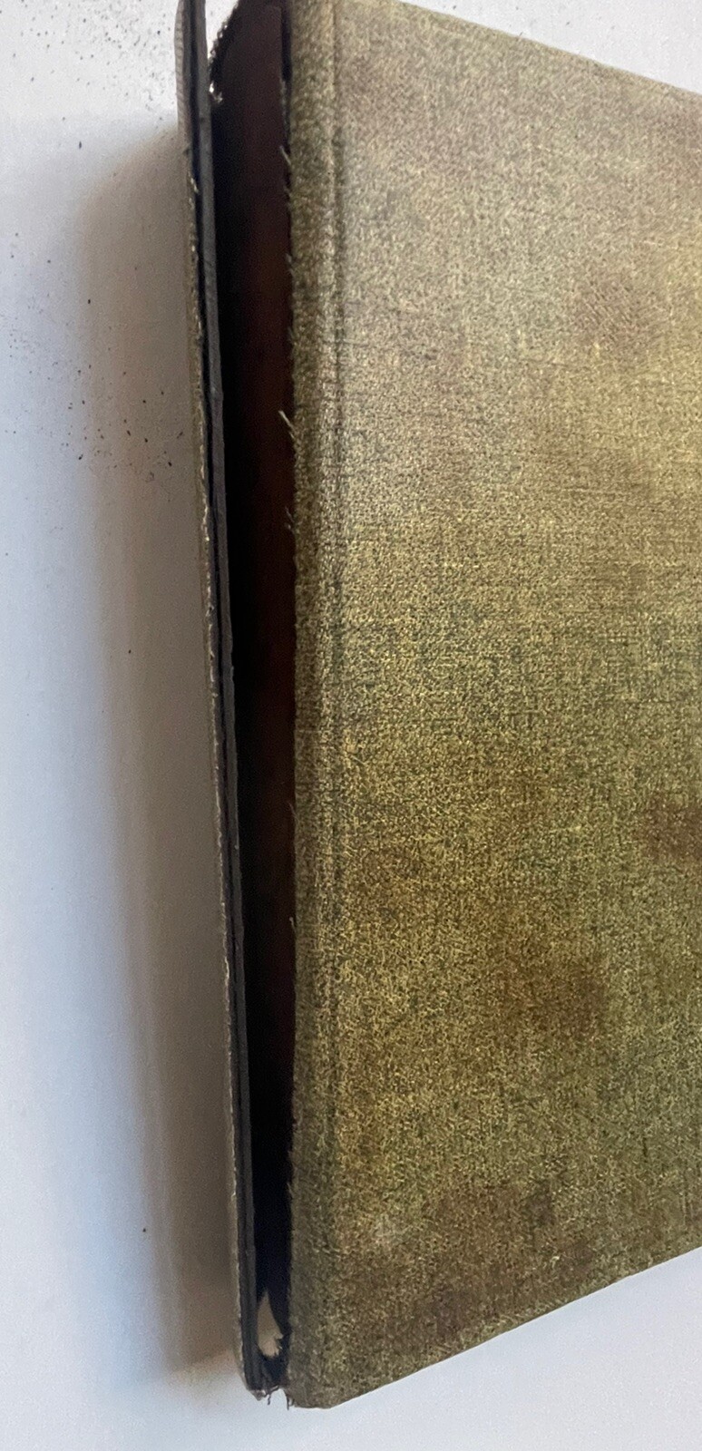 Picture 16 of 19