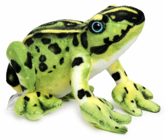Fernando Frog 10 Inch Poison Dart Toad Stuffed Animal Plush Children Sleep Toy for sale online