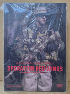DAMTOYS Operation Red Wings Soldier 3.5 in Action Figure - 78084