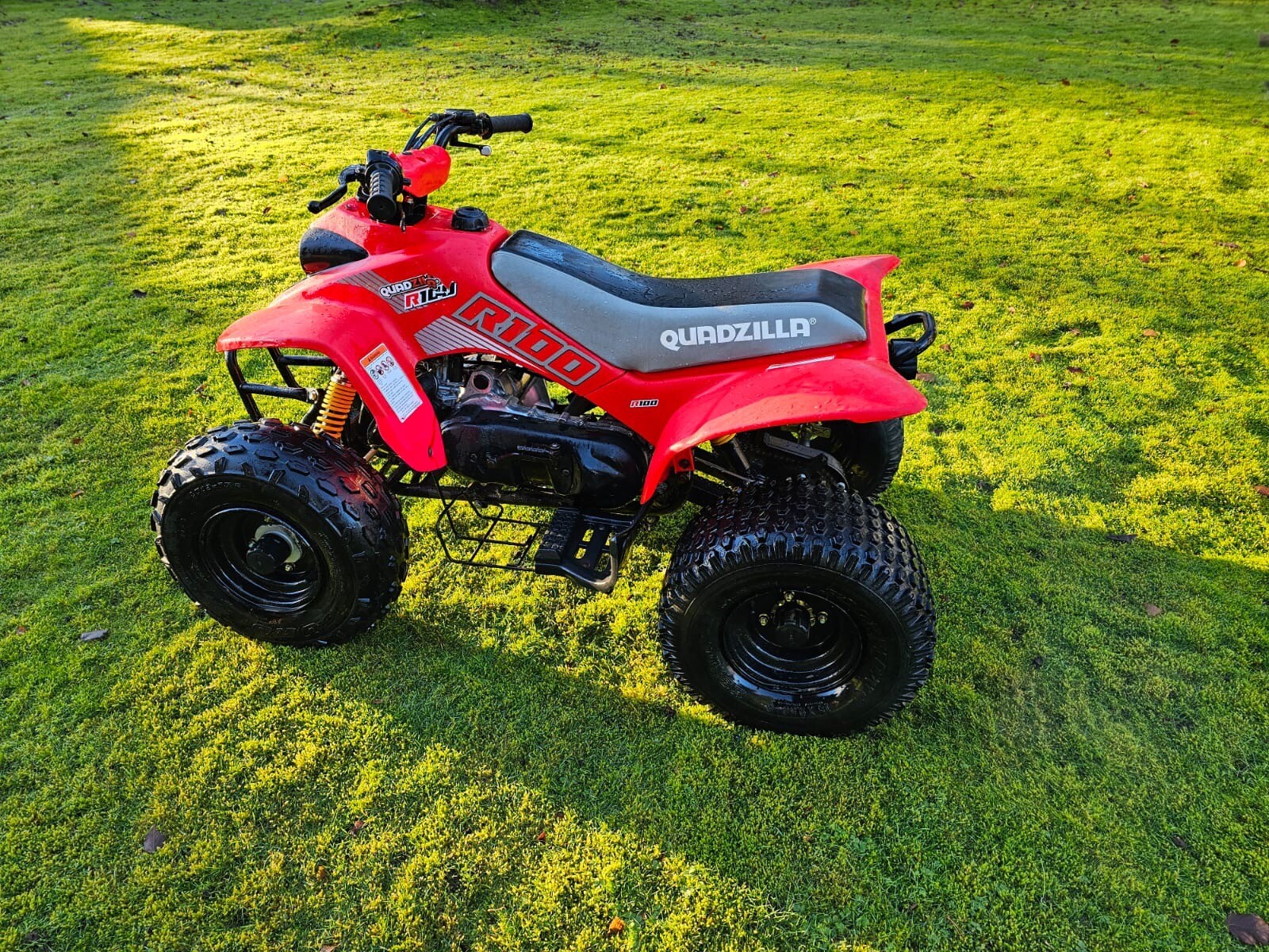 Quad bike Quadzilla R100 childrens petrol quad bike eBay