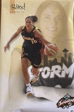 Sue Bird Seattle Storm Vintage Basketball Poster - Sports Collectible