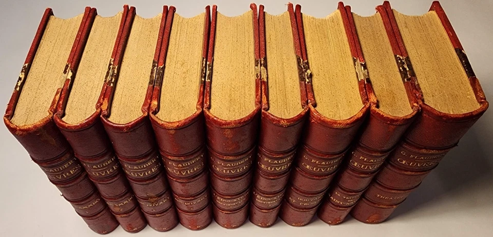 c. 1884 GUSTAVE FLAUBERT WORKS OEUVRES 9 VOL ILLUST SET MADAME BOVARY, SALAMMBO - Image 2 of 4