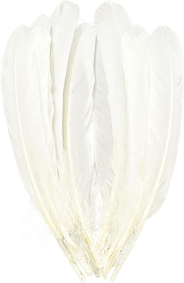 White Feathers,Natural Big Long Goose Feather,8-10 inches (20-25cm),Large Size B