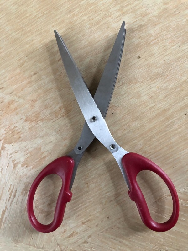 Kitchen Five Blade Spice Shears, Ideal for Cutting Fresh Spices
