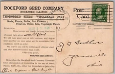 Postcard ROCKFORD SEED COMPANY 1910 Advertisement Tulips; Rockford, Illinois  iG