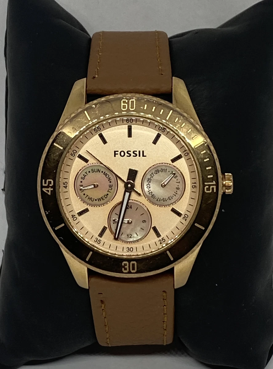Es2859 fossil top