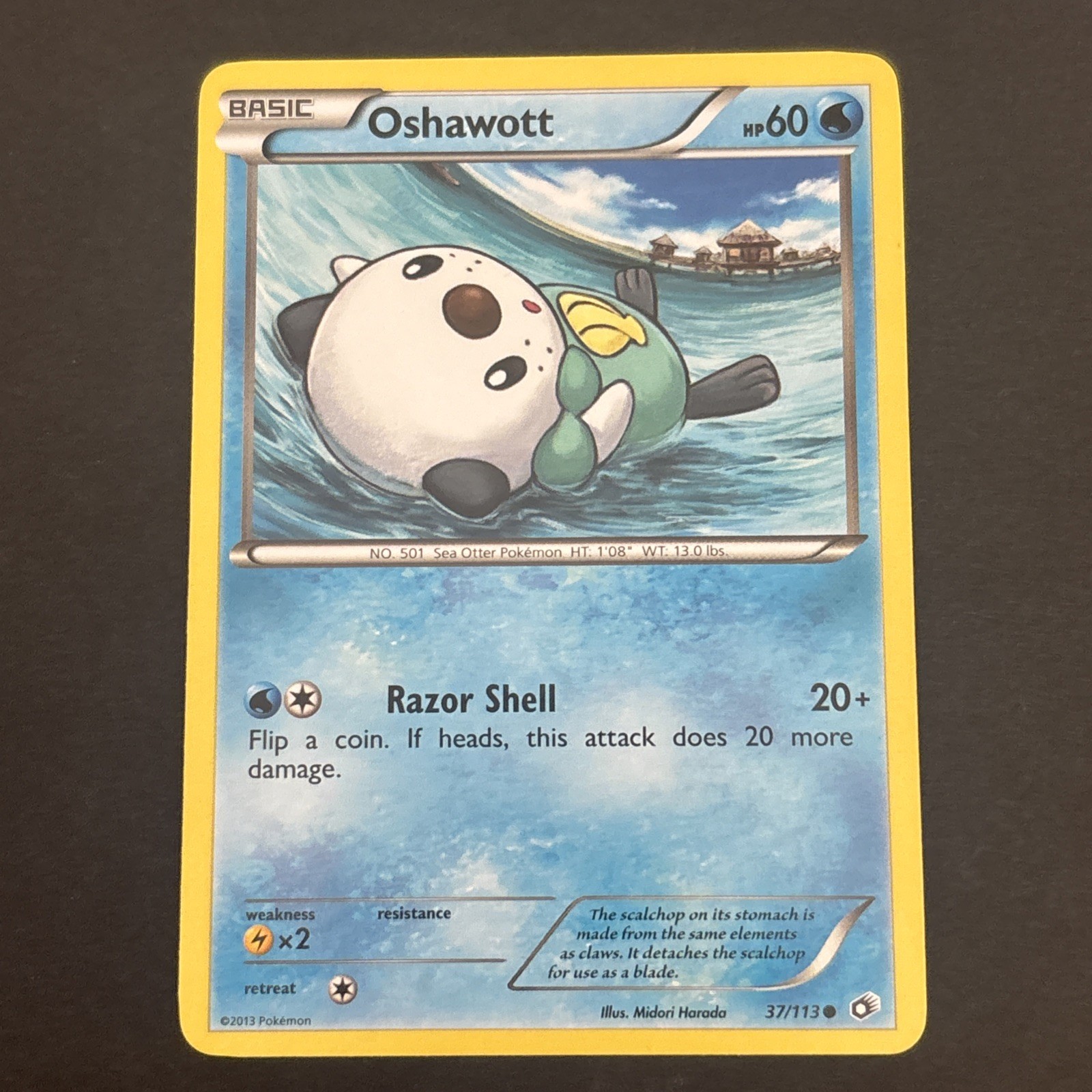 Oshawott 37/113 Regular BW: Legendary Treasures Pokémon TCG LP 2013