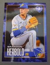 2026 Brisbane Bandits - Brandon Herbold (ACL Royals) (Aussie Baseball League)